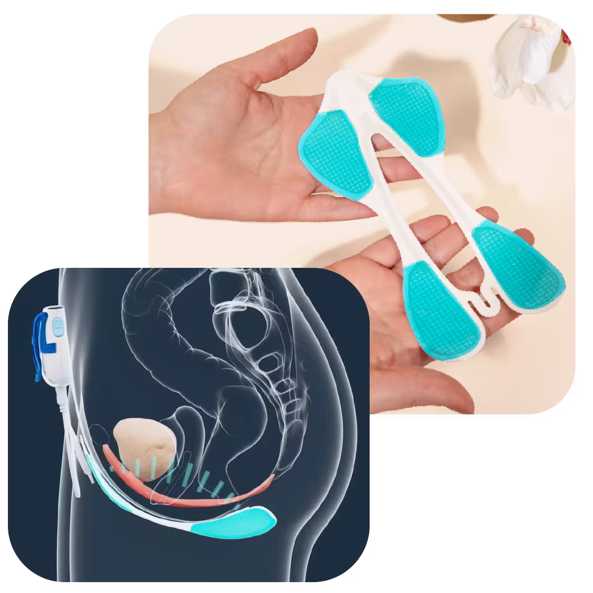 Combined Product Image AVIF