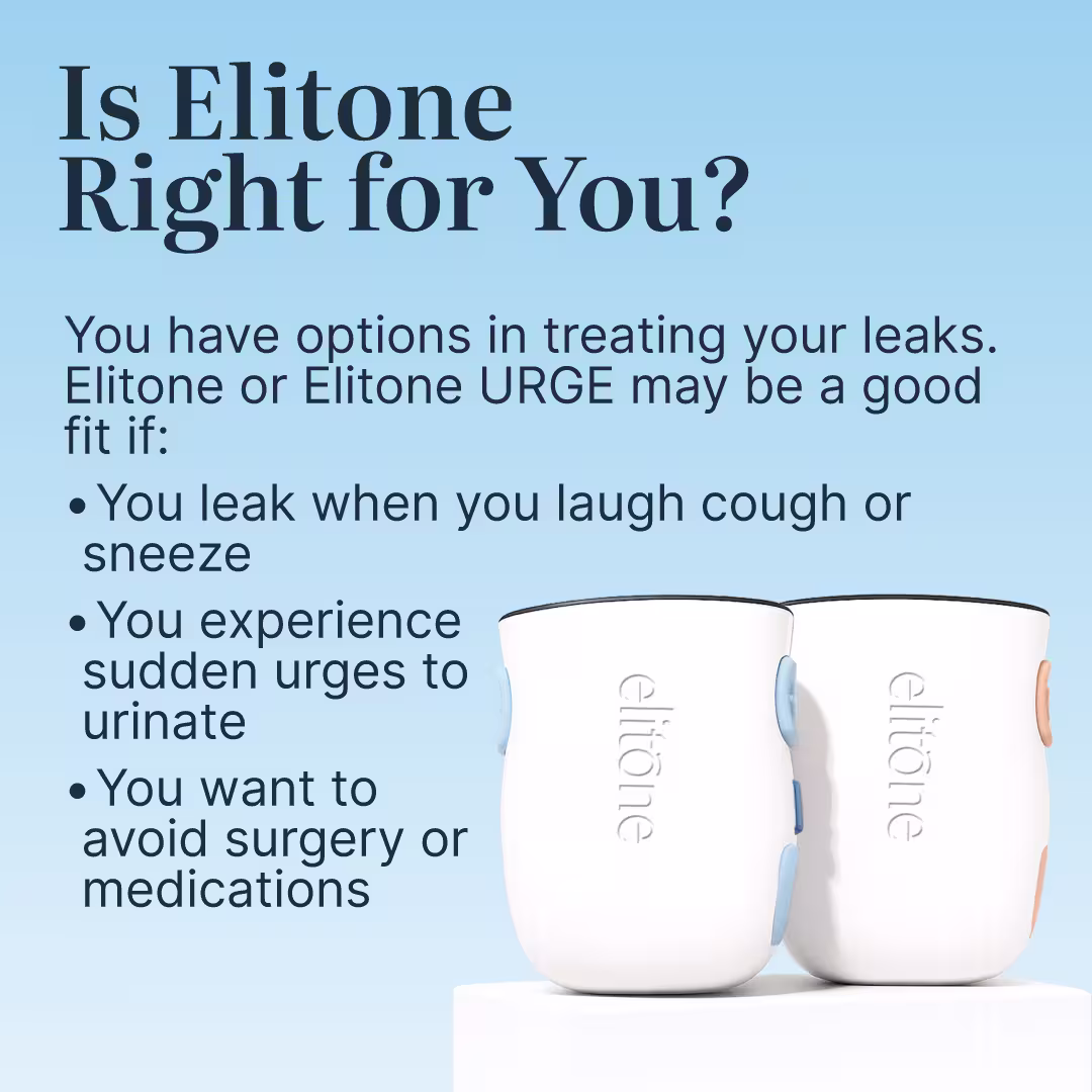 HP Gallery - 033126-10 HP Gallery 033126 10